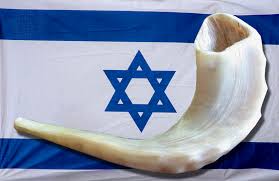 Florida Israel Star Rosh Hashanah Greetings - Shana Tovah 5777